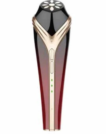 EMS RF Beauty Device