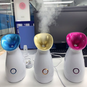 Facial steamer