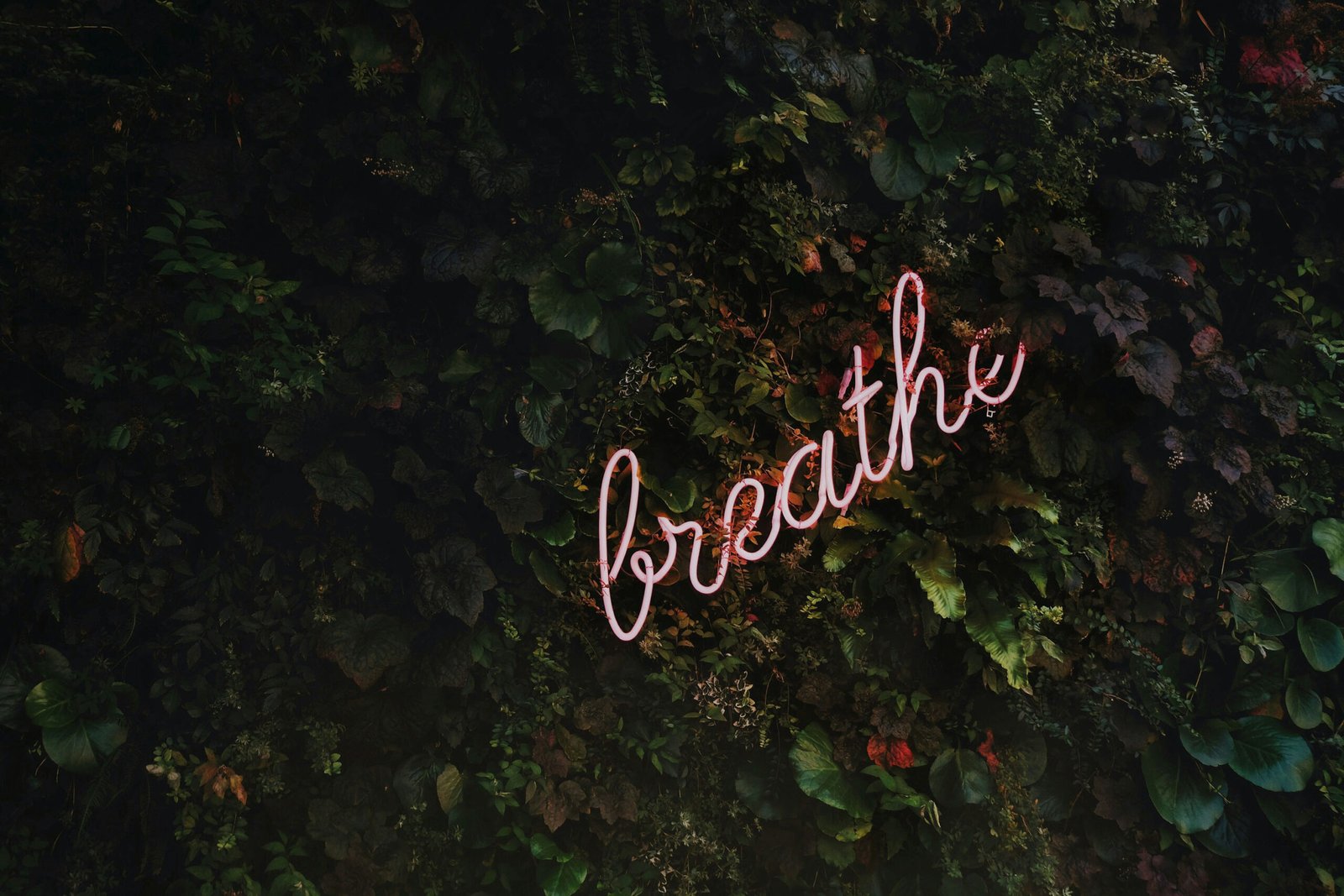 Mindful Personal Care